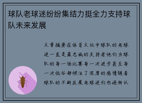 球队老球迷纷纷集结力挺全力支持球队未来发展